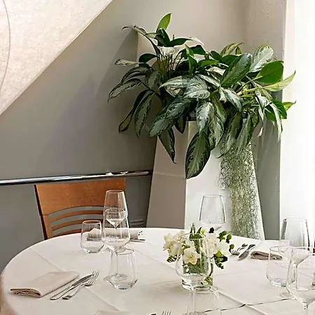 Mirage Hotel Viareggio