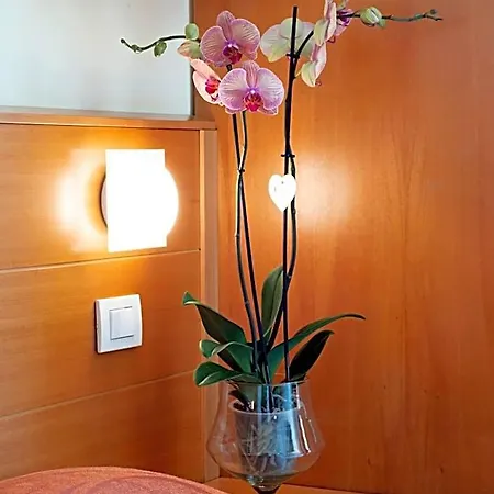Mirage Hotel